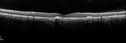 apmppe4_rofa_110915_14.jpg