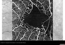 bdr-ischemia_lucas_062618_11.jpg
