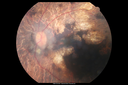 bemc_092712_04.png