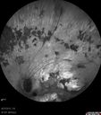 bemc_092712_12.jpg