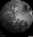 bemc_092712_15.jpg