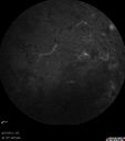 bemc_092712_16.jpg