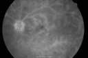 Filename=birdshot_hebe21.png
Filesize=5473KiB
Dimensions=3500x2333
Date added=Apr 15, 2011 birdshot_hebe21.png