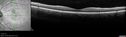 cat-scratch-bemo-040218_14.jpg
