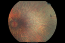 choreremiacarrier_makl_011215_03.png