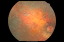 choreremiacarrier_makl_011215_05.png