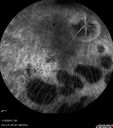 choreremiacarrier_makl_011215_24.jpg