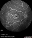 cme_anle_051915_16.jpg