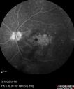 cme_anle_051915_20.jpg