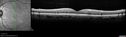 cme_dar2_fu_29.jpg