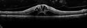 cme_dari1_102315_09.jpg