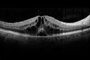 cme_dosm_081114_07.jpg