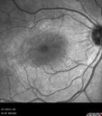 cme_dosm_081114_12.jpg