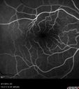 cme_dosm_081114_14.jpg