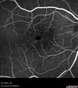 cme_dosm_081114_15.jpg