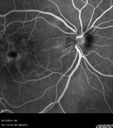 cme_dosm_081114_17.jpg