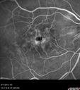 cme_dosm_081114_18.jpg