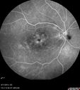 cme_dosm_081114_20.jpg