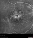 cme_dosm_081114_21.jpg