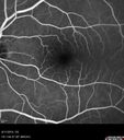 cme_dosm_081114_22.jpg