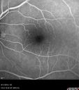 cme_dosm_081114_24.jpg