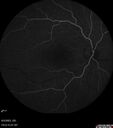 cme_macon_060523_10.jpg