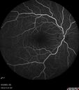 cme_macon_060523_12.jpg