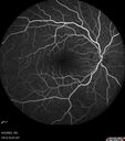 cme_macon_060523_13.jpg
