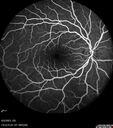 cme_macon_060523_15.jpg