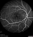 cme_macon_060523_16.jpg