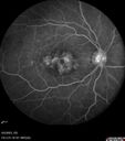 cme_macon_060523_19.jpg