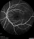 cme_macon_060523_20.jpg