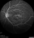 cme_macon_060523_22.jpg