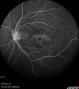 cme_macon_060523_23.jpg