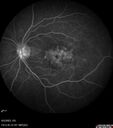 cme_macon_060523_24.jpg