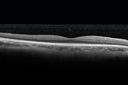 cme_roen_08281512.jpg