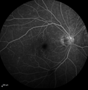 cme_roen_08281526.png