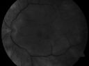 cmehapticiris_jesh07.jpg