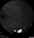 coats_trsu_050318_16.jpg