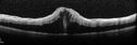crvo1_frho_010716_08.jpg