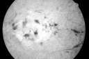 crvoscar_mana_281029.png
