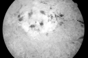 crvoscar_mana_281129.png