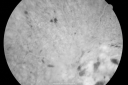 crvoscar_mana_281329.png