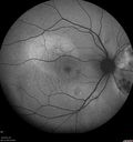 csr-pdt_seca_102318_05.jpg