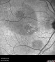 csr-pdt_seca_102318_07.jpg