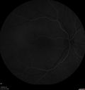 csr-pdt_seca_102318_13.jpg