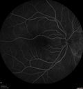 csr-pdt_seca_102318_15.jpg