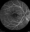 csr-pdt_seca_102318_16.jpg