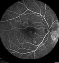 csr-pdt_seca_102318_17.jpg