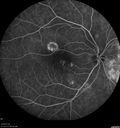 csr-pdt_seca_102318_18.jpg